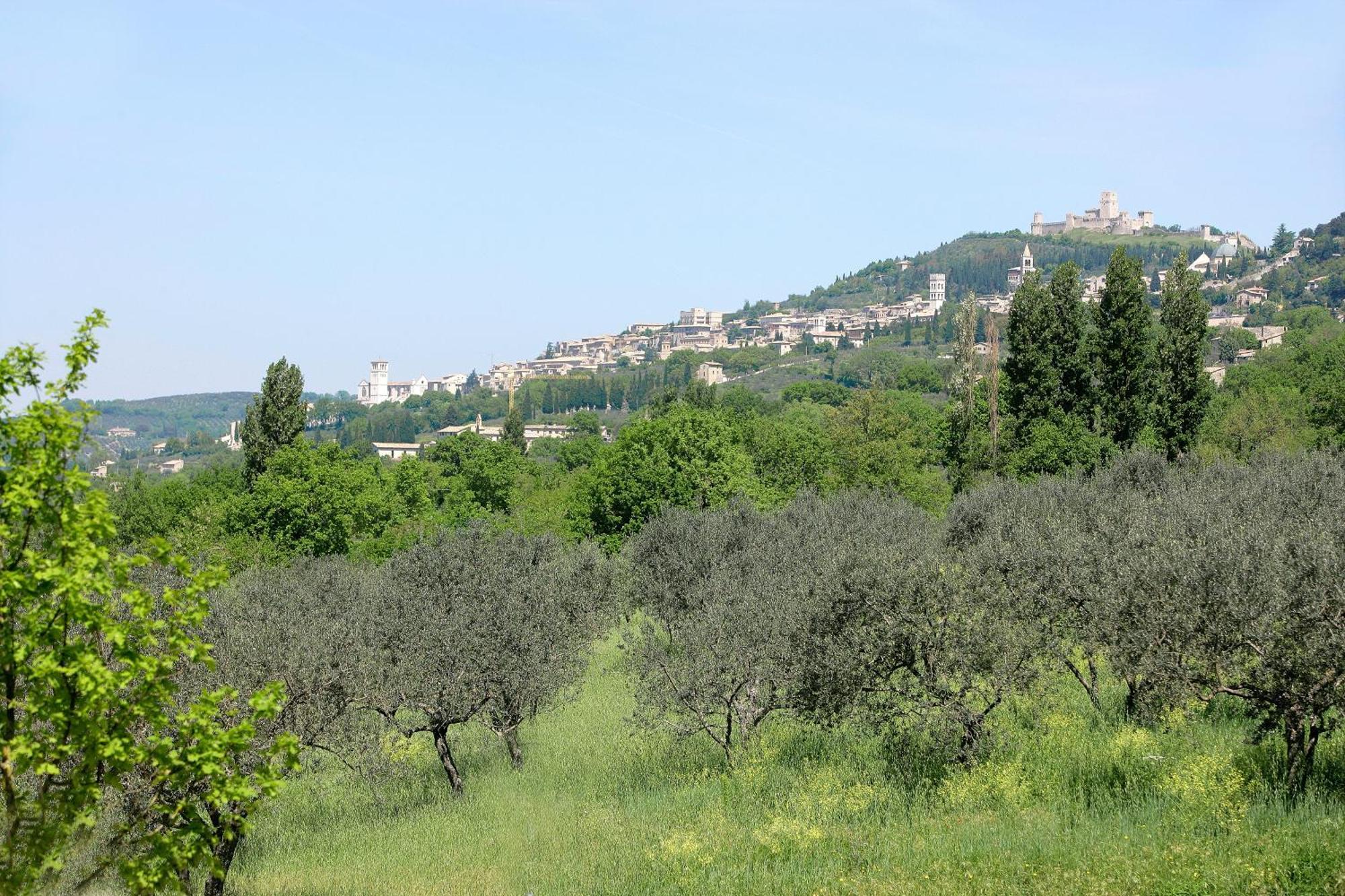 Country House Poggio Fiorito Assisi Ngoại thất bức ảnh